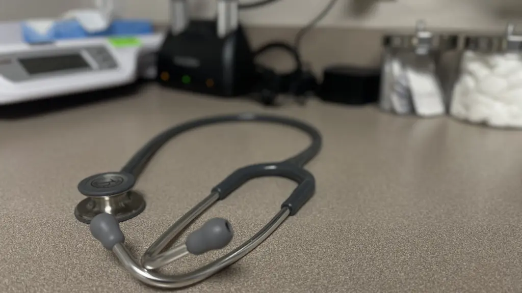 Photo: Victoria Johnson 2025 Dailyfly News