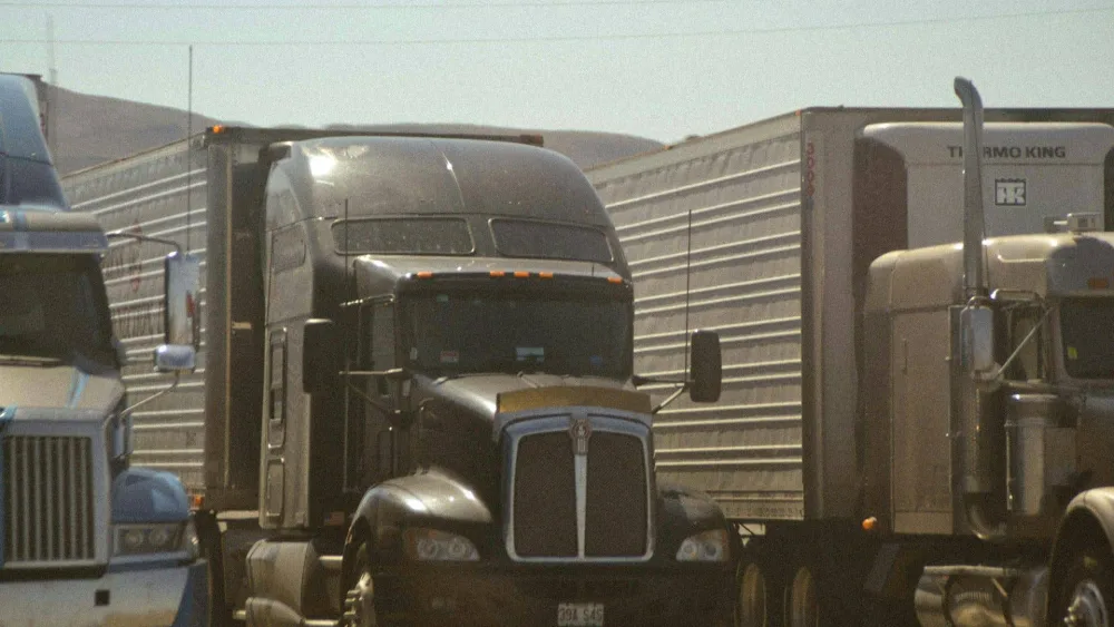 Photo by Leo Wille on Unsplash