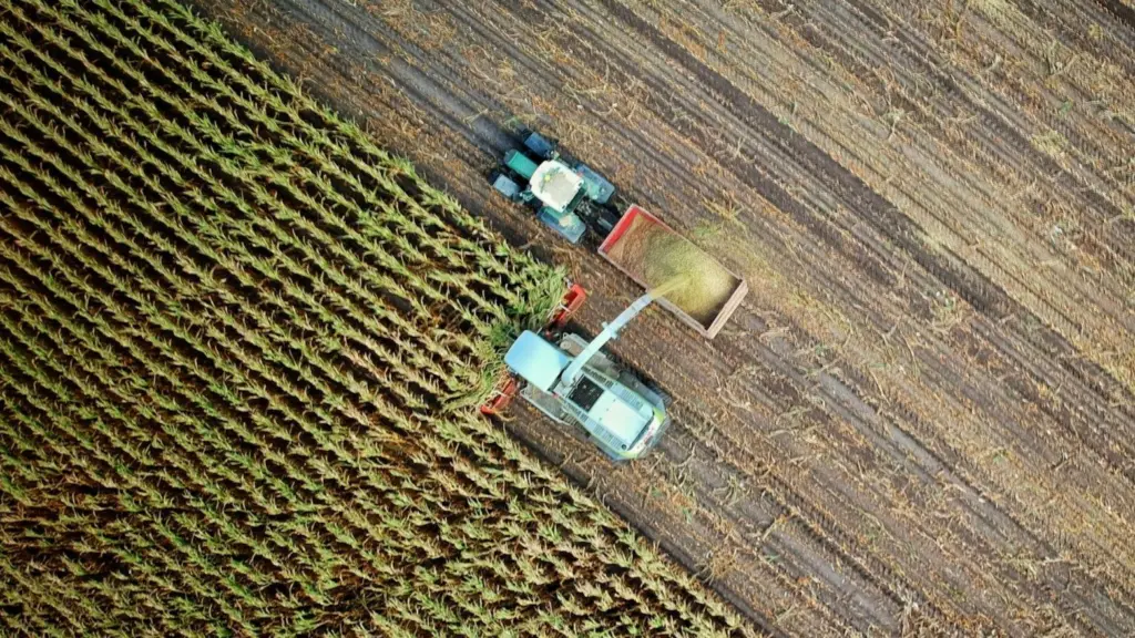 Photo by no one cares on Unsplash