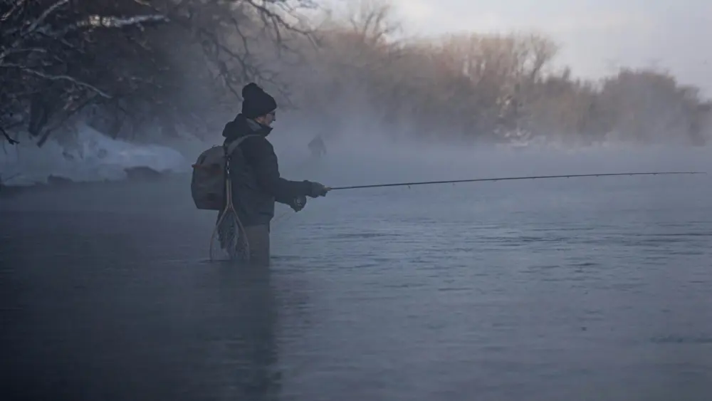 Photo by Matthew Mendini on Unsplash