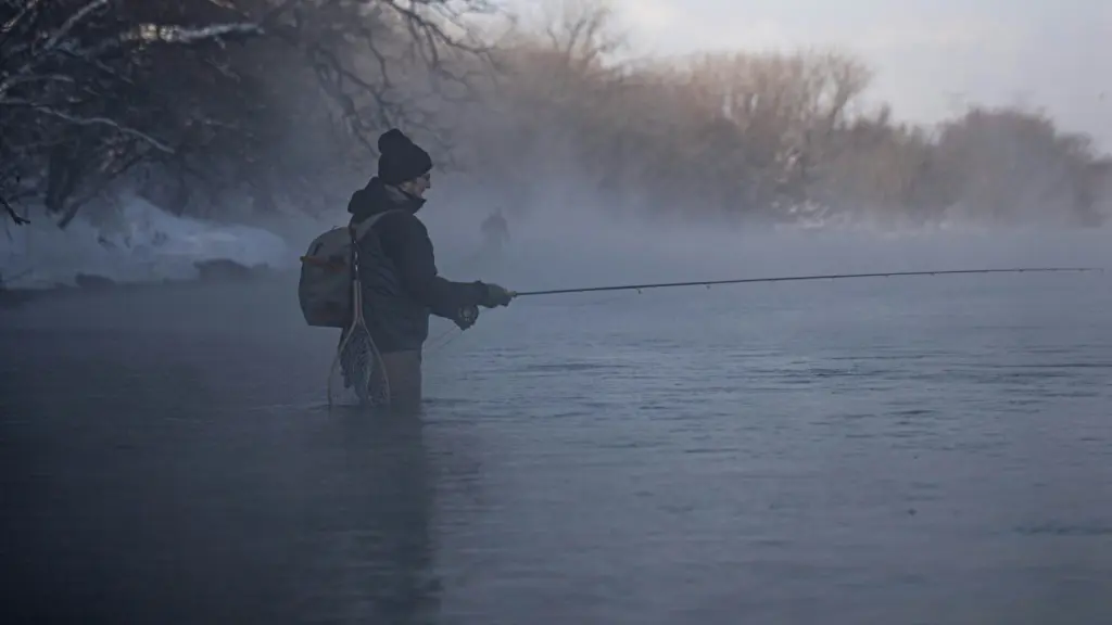 Photo by Matthew Mendini on Unsplash