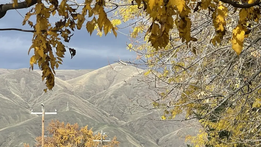 Clarkston Washington Photo: Victoria Johnson 2025 Dailyfly News