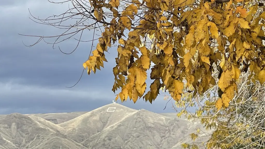 Clarkston Washington Photo: Victoria Johnson 2025 Dailyfly News