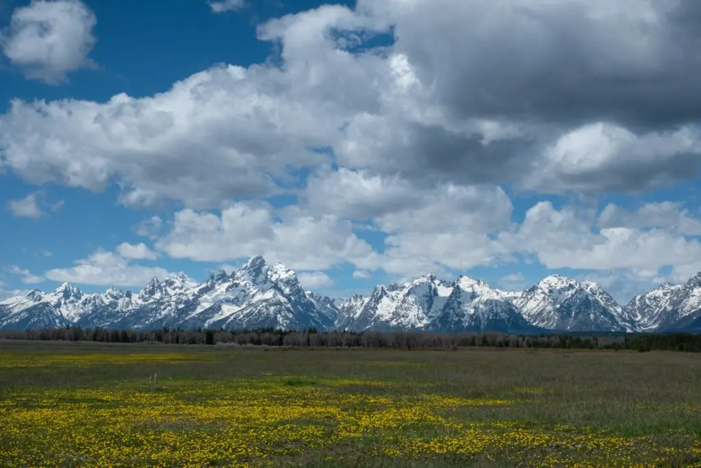 Teton Range