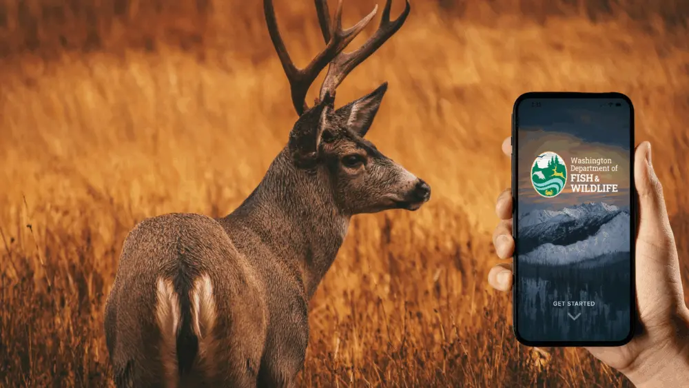 Photo by Clyde He on Unsplash