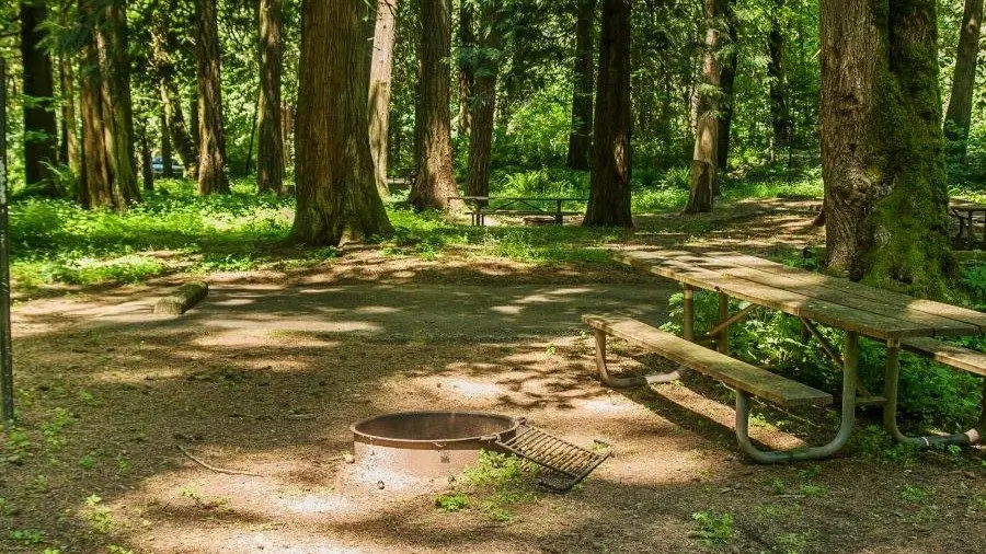 A campground at Paradise Point State Park. (Washington State Parks)