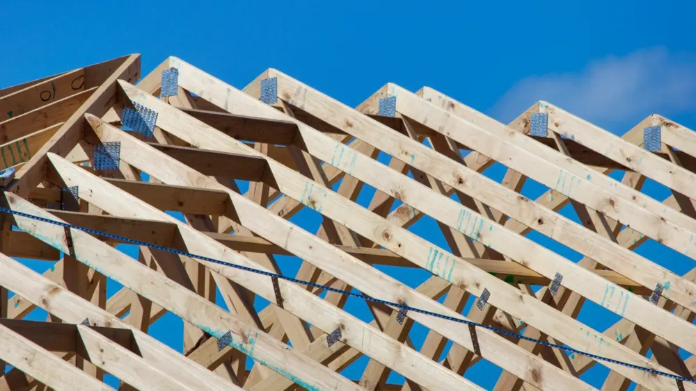 Photo by Troy Mortier on Unsplash