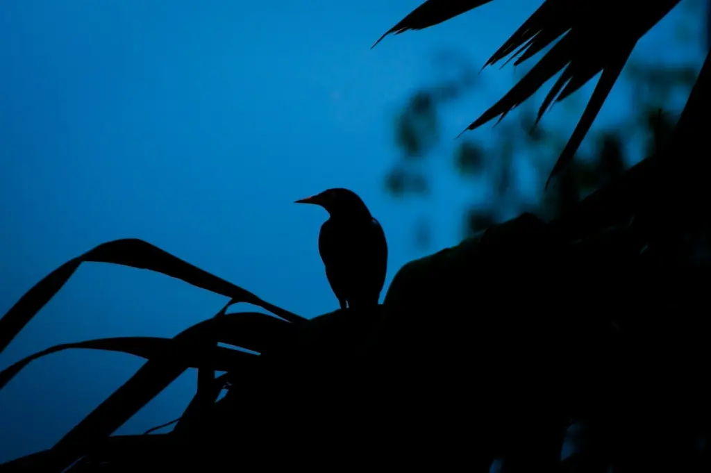 Photo by Arian Aas Sami on Unsplash