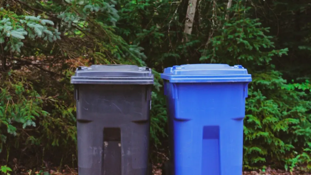 Photo by Sigmund on Unsplash