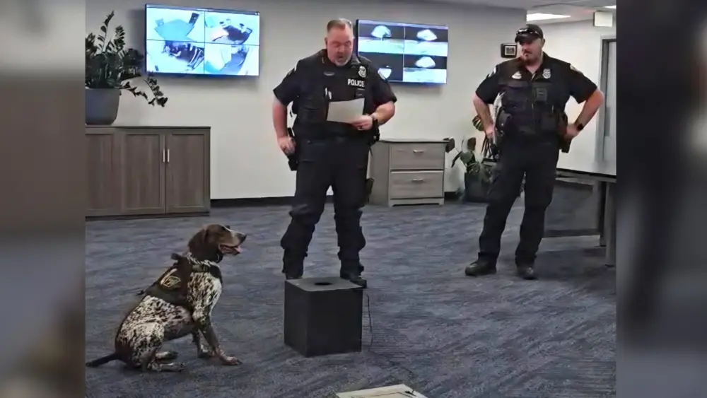 K9 Monta Retirement