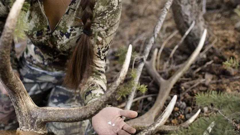 Photo credit: Idaho Fish and Game, via press release