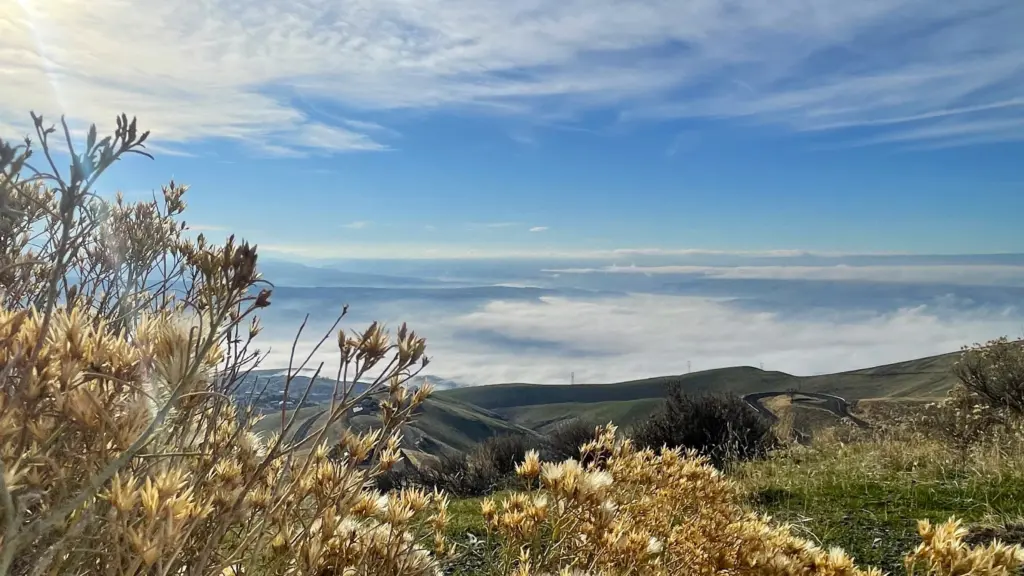 Fog over Lewis-Clark Valley, Old Spiral Highway - Photo: Victoria Johnson 2025 Dailyfly News