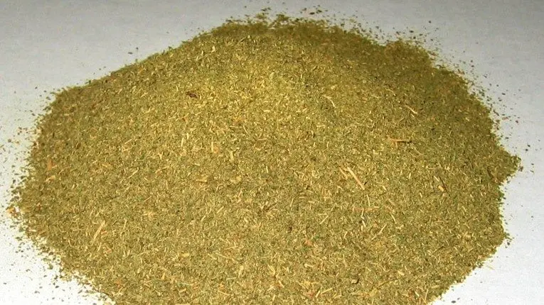 By ​English Wikipedia user Ingenium, CC BY-SA 3.0, https://commons.wikimedia.org/w/index.php?curid=4653775