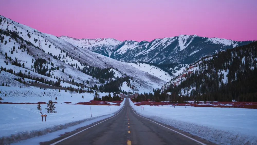 Photo by Fudo Jahic on Unsplash