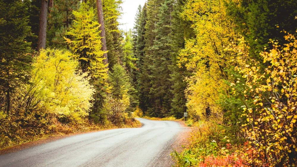 Photo by Jaime Casap on Unsplash