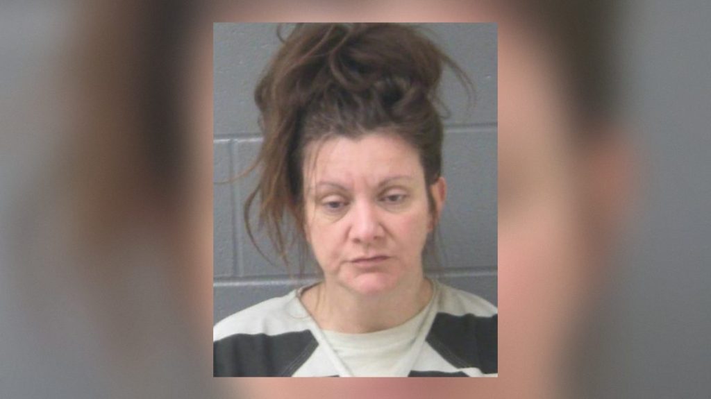 Lewiston Woman Accused of Home Burglary and Making Threat Toward ...