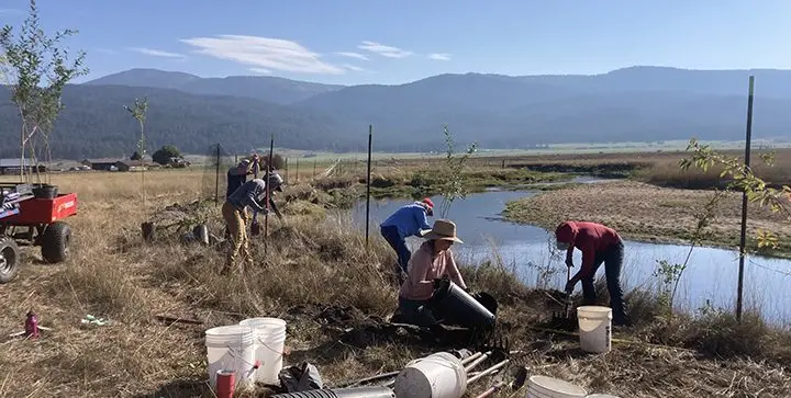 Volunteers plant trees and shrubs in the riparian area along the Little Salmon River as part of a 1.25-mile restoration project. (Photo courtesy of Silas and April Wilbur)