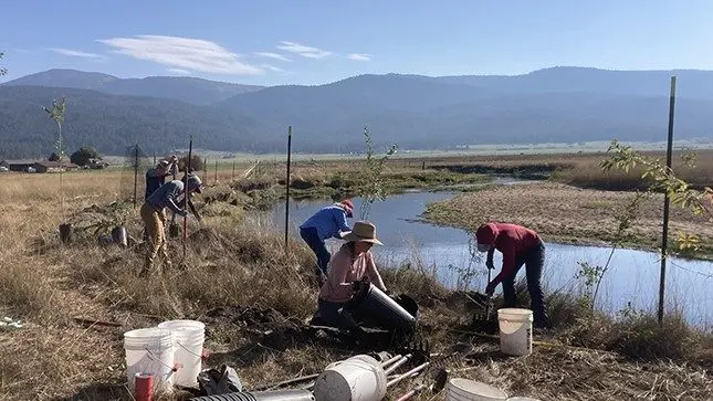 Volunteers plant trees and shrubs in the riparian area along the Little Salmon River as part of a 1.25-mile restoration project. (Photo courtesy of Silas and April Wilbur)