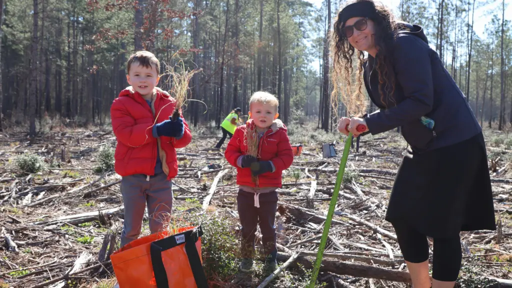 NPS Photo / Scott Sharaga
