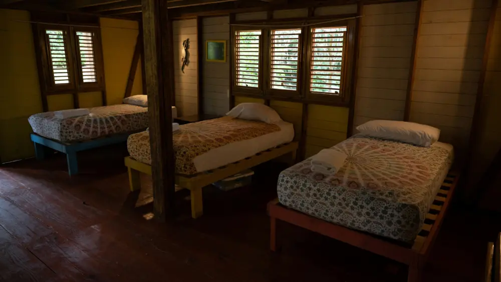 Photo by Eriel Ezequiel Reyes Saviñon on Unsplash