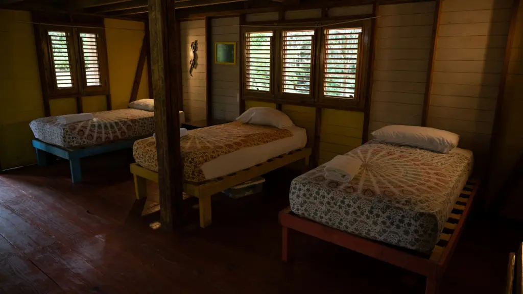 Photo by Eriel Ezequiel Reyes Saviñon on Unsplash