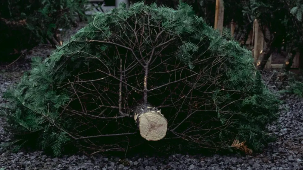 Photo by Sandra Ivleva on Unsplash