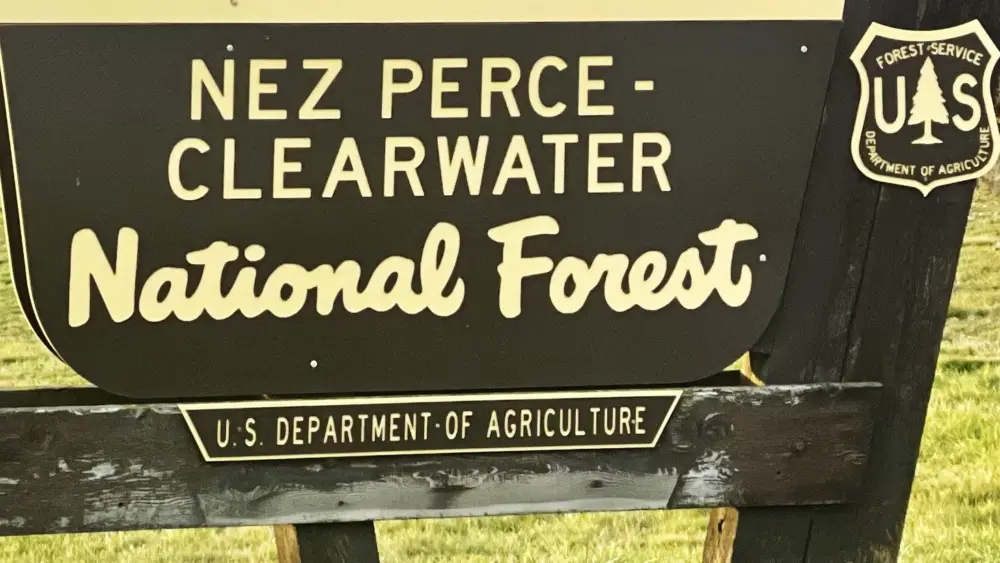 Nez perce Clearwater National Forest- Photo: Victoria Johnson 2025 Dailyfly News