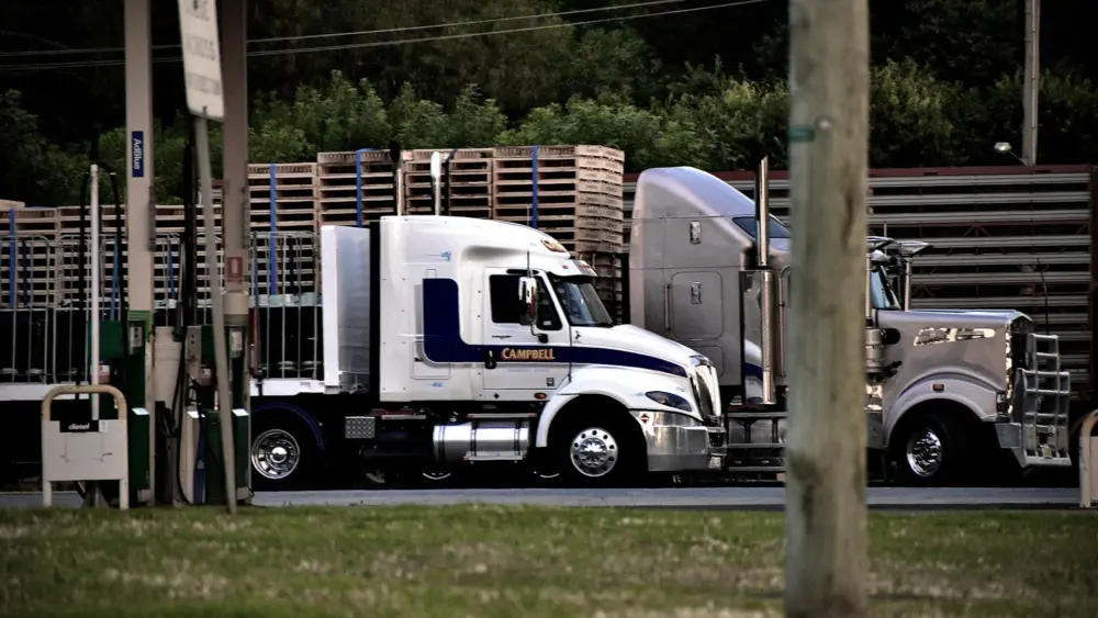 Photo by Star Arandale on Unsplash