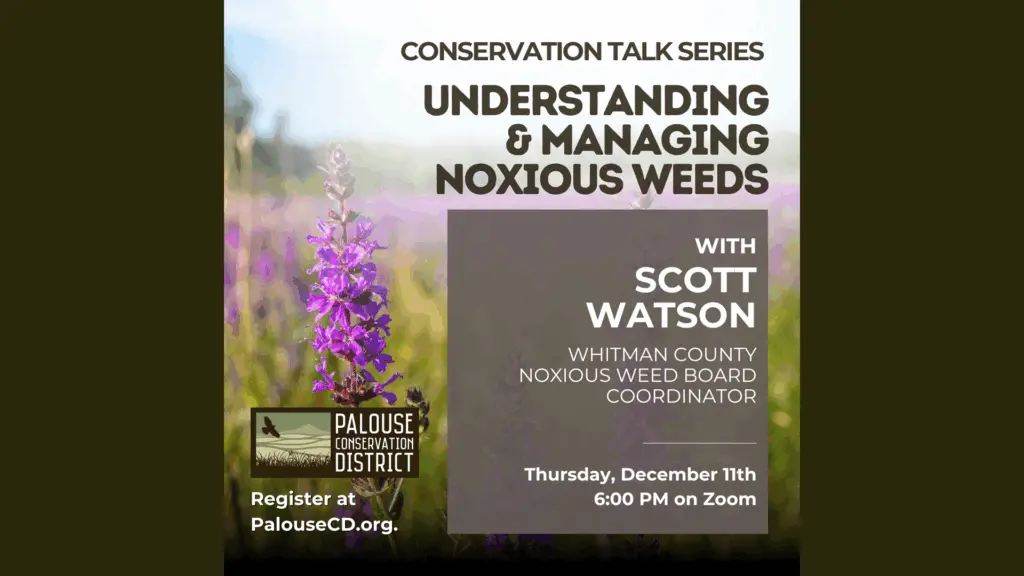 Image courtesy of Palouse Conservation District.