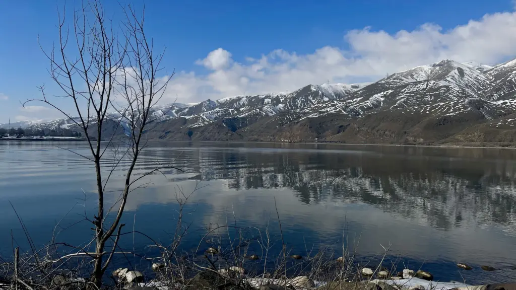 Photo: Victoria Johnson 2025 Dailyfly News