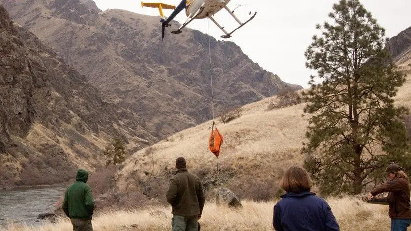 Image from IDFG website