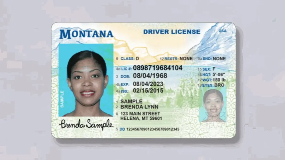 Montana Driver's License
