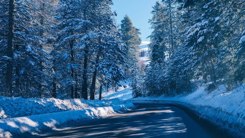 Photo by Shawn Clark on Unsplash