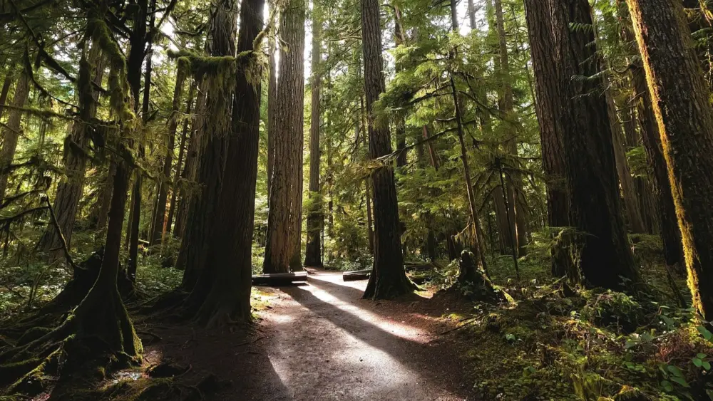 Photo by Abhi Dasari on Unsplash