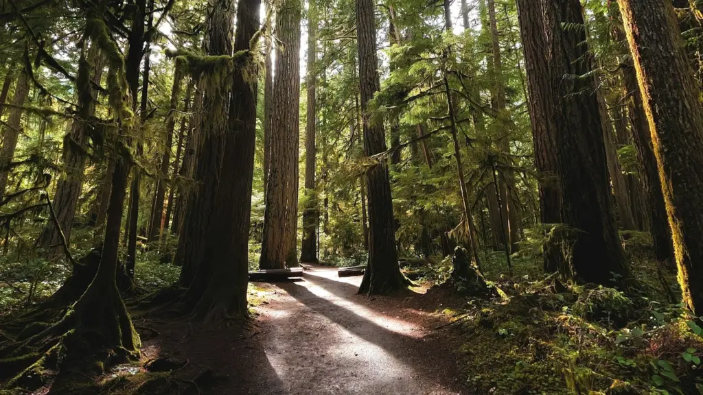 Photo by Abhi Dasari on Unsplash