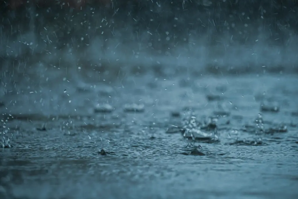 Photo by Abhishek Tewari on Unsplash