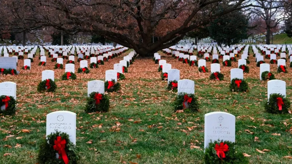 Photo by Chaojie Ni on Unsplash