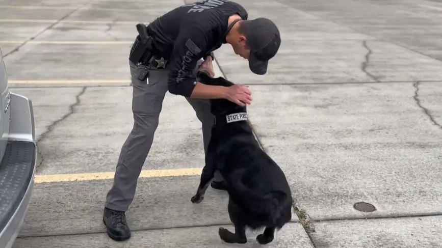 Photo courtesy of Idaho State Police (video screenshot)