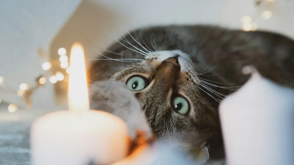 Photo by Sven Mieke on Unsplash