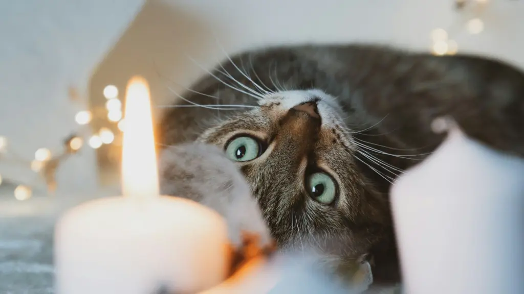 Photo by Sven Mieke on Unsplash