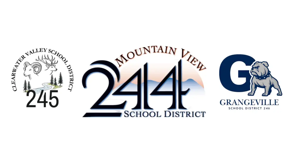 Mountain View School District