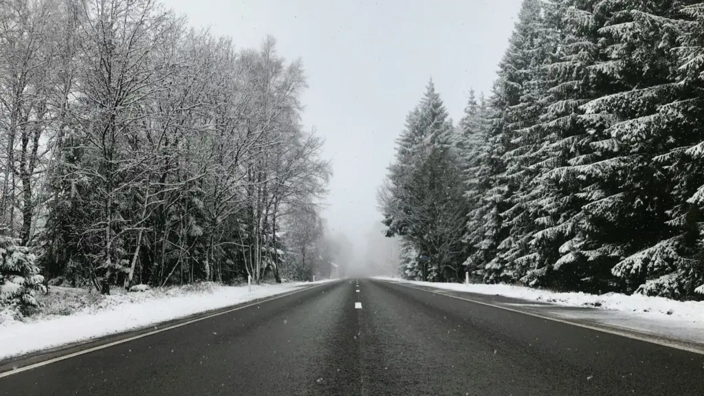 Photo by marijn vandevoorde on Unsplash