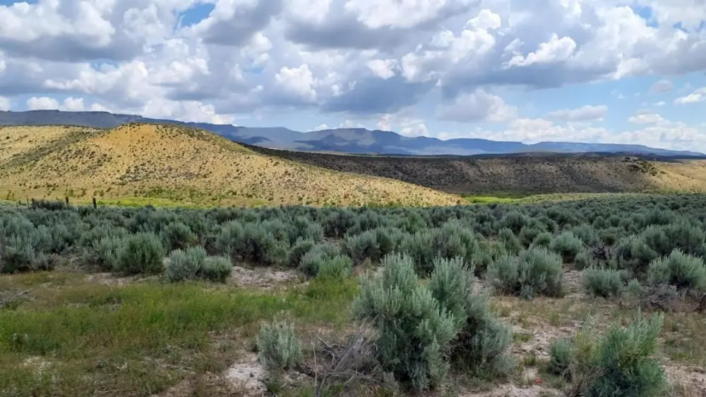 orwa-news-hitech-lithium