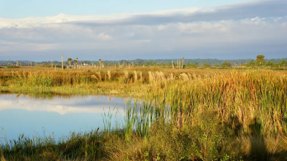 Photo by Philip Arambula on Unsplash