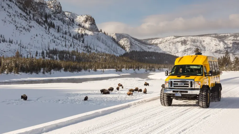 Snowcoach along the Madison River with bison NPS / Jacob W. Frank