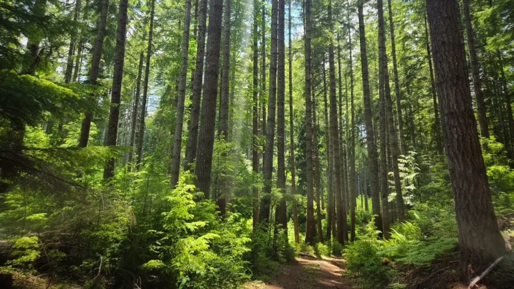 Photo credit: Bureau of Land Management (BLM)