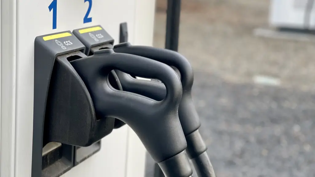 Photo: Victoria Johnson 2025 Dailyfly News