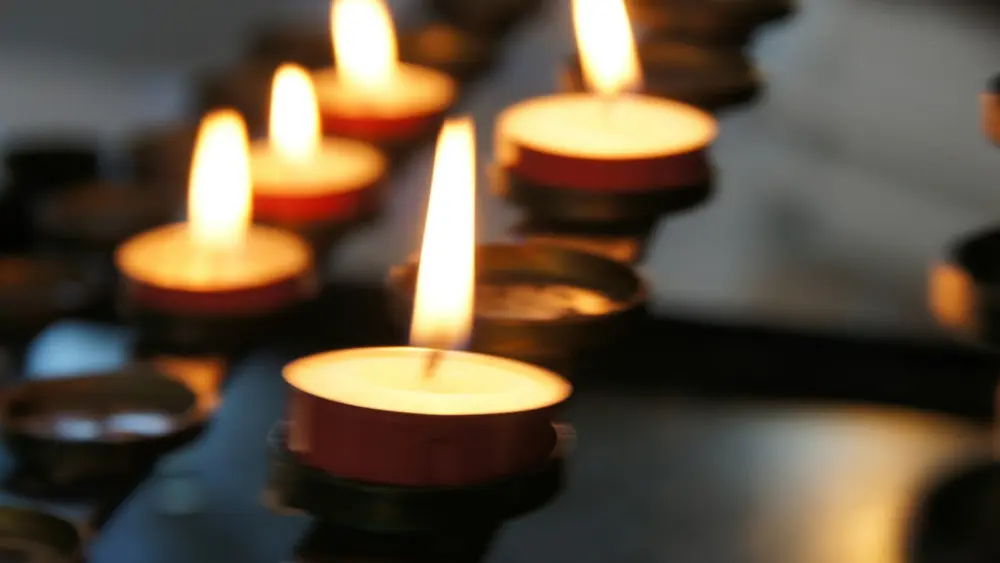 Photo by Eli Solitas on Unsplash