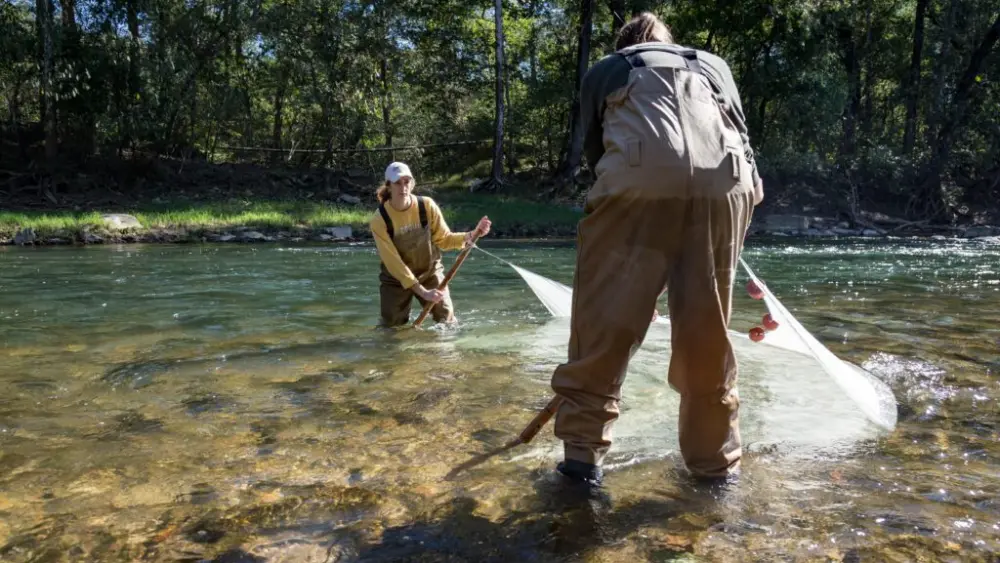 U.S. Fish and Wildlife Service staff survey for Chesapeake logperch in Harford County, Maryland. (U.S. Fish and Wildlife Service)