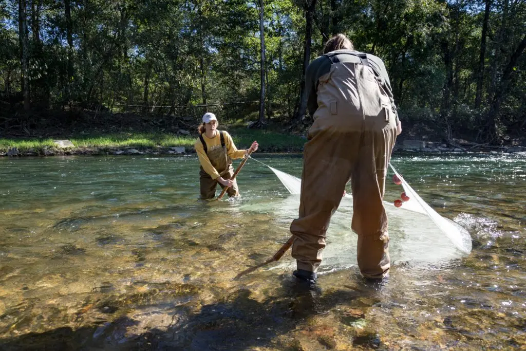 U.S. Fish and Wildlife Service staff survey for Chesapeake logperch in Harford County, Maryland. (U.S. Fish and Wildlife Service)